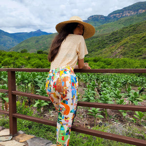 PANT  REGIONES  🇨🇴